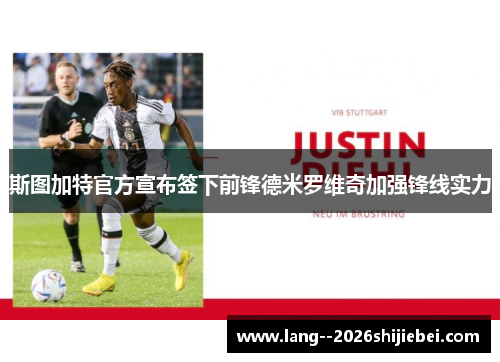 斯图加特官方宣布签下前锋德米罗维奇加强锋线实力